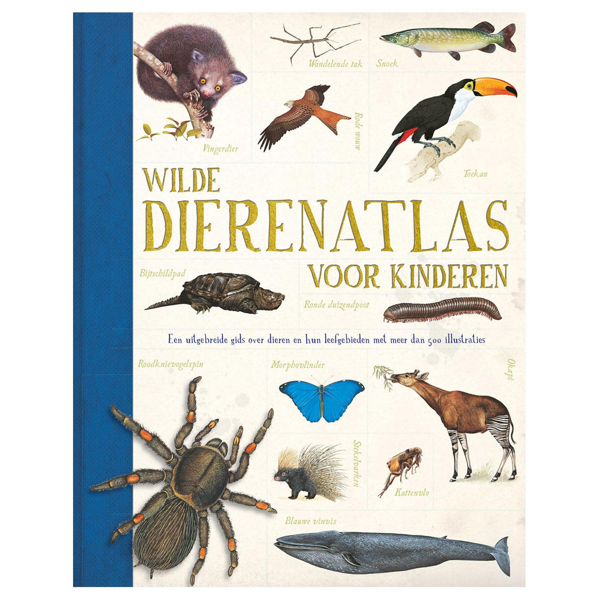 Rebo publishers wild animal atlas for children