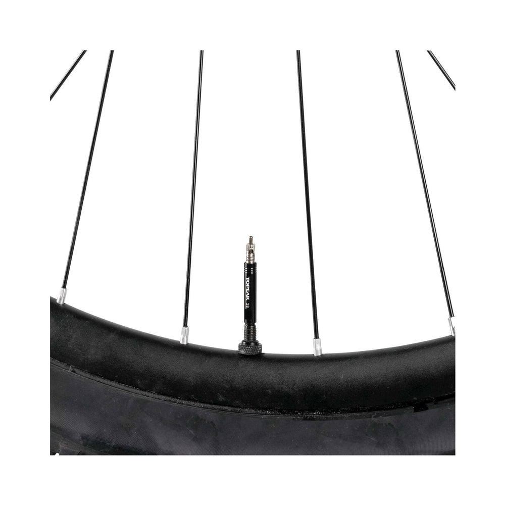 Topeak Vantiel Extractor Set French 28 mm