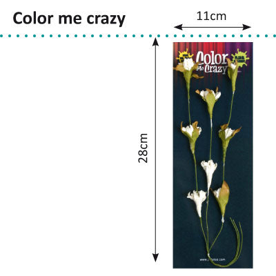 Petaloo • color me crazy spray de videira em flor