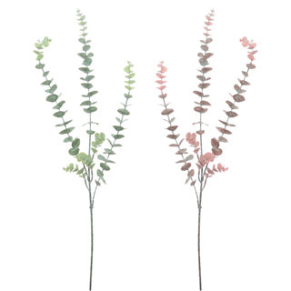 No brand eucalyptus spray l 78cm | 12 stuks