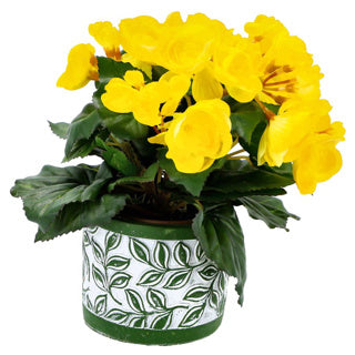 No brand pot olea cylindre vert 11 cm | 6 pièces