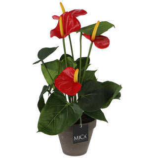 Edelman artificial anthurium plant red in pot
