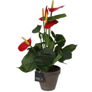Edelman artificial anthurium plant red in pot
