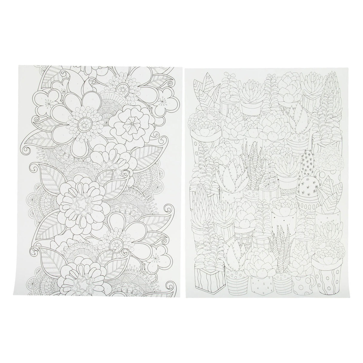 Colores por número con 5 lápices de colores