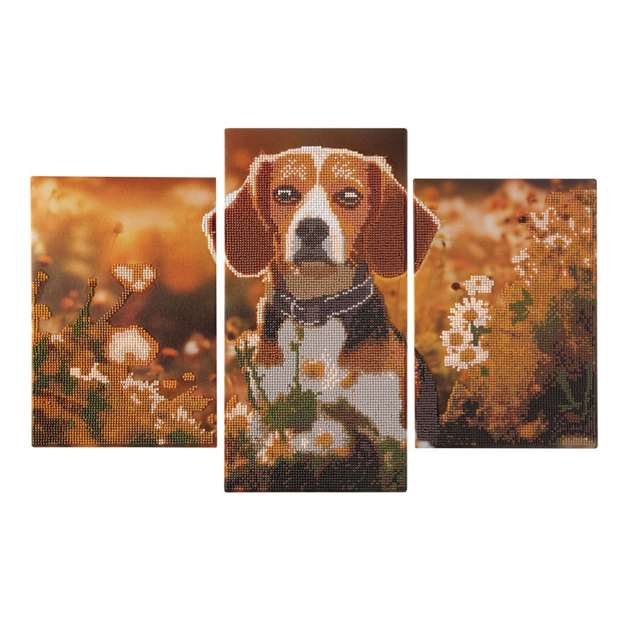 Creative craft group diamond painting triptych set - dog