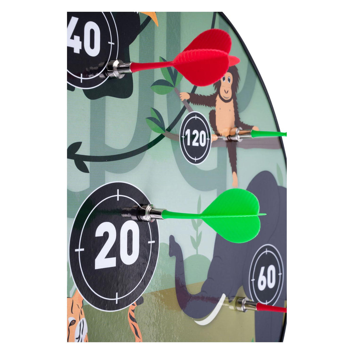 Magnetinio smiginio dvipusiai gyvūnai