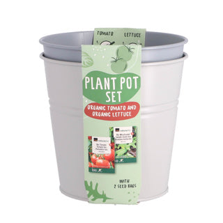 Other brands growing set bucket organic tomatoes and lettuce 17cm metal