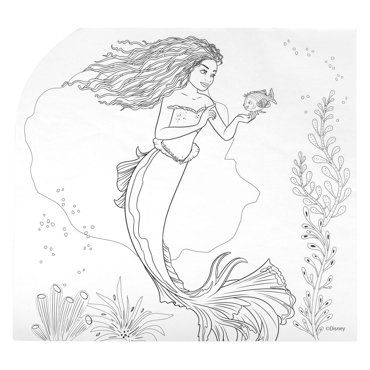 Canco der Little Mermaid 5in1 Farbset