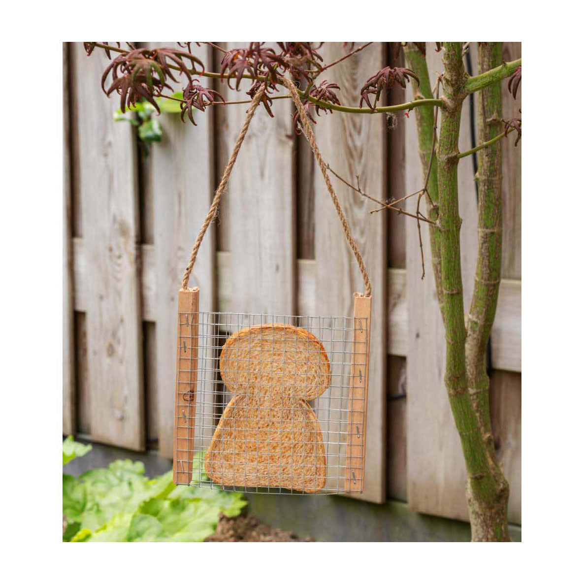 Bird feeder frame