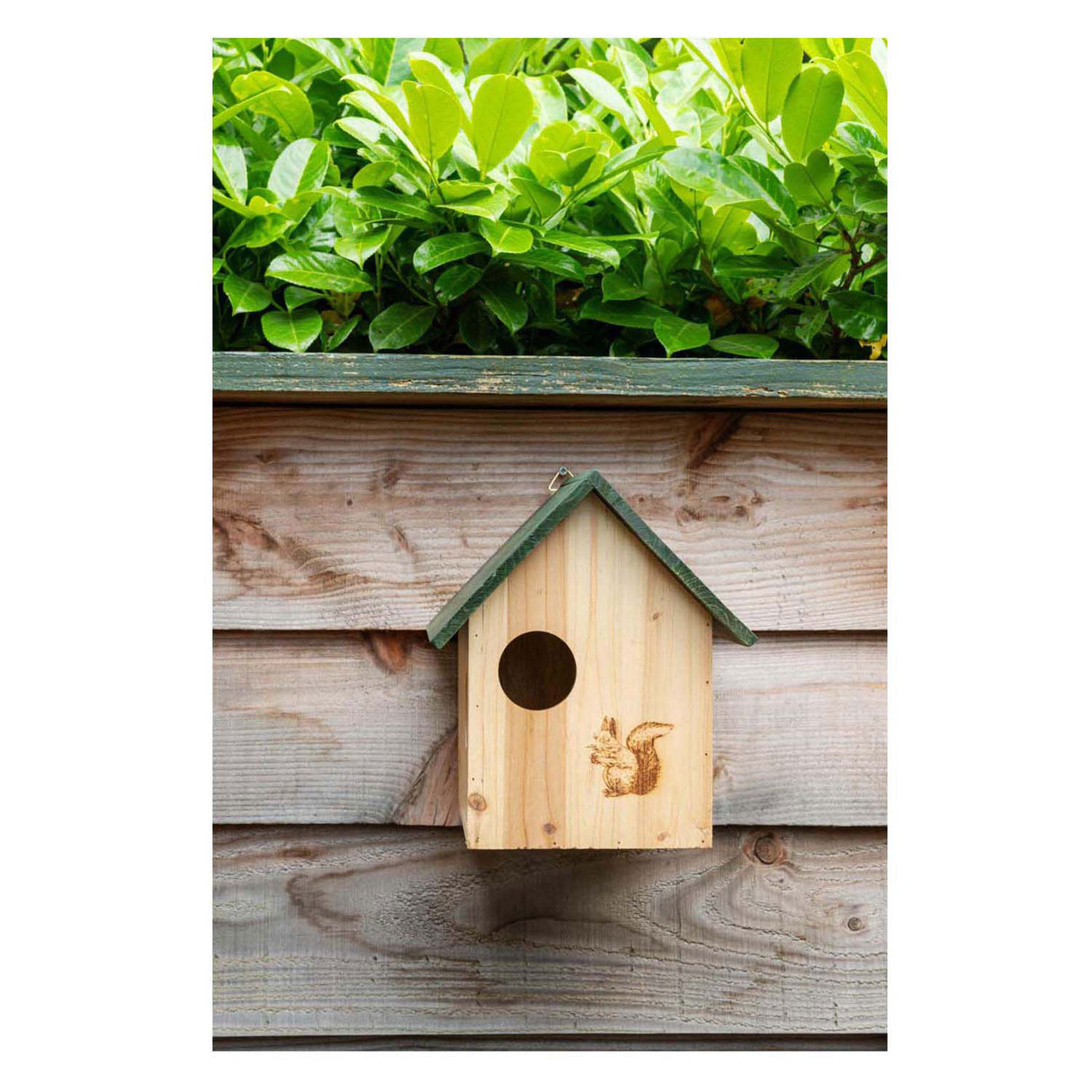 Wooden squirrel house