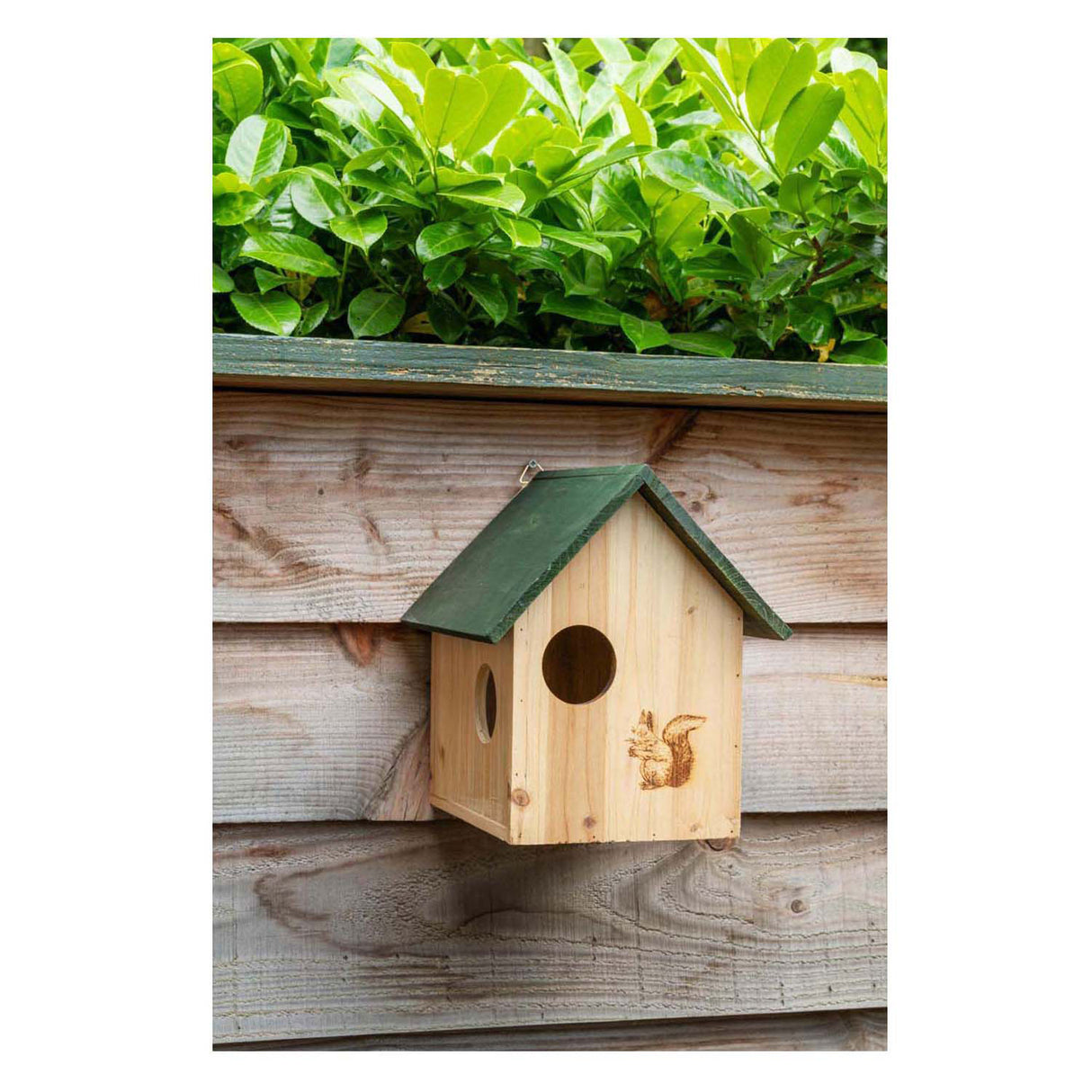Wooden squirrel house