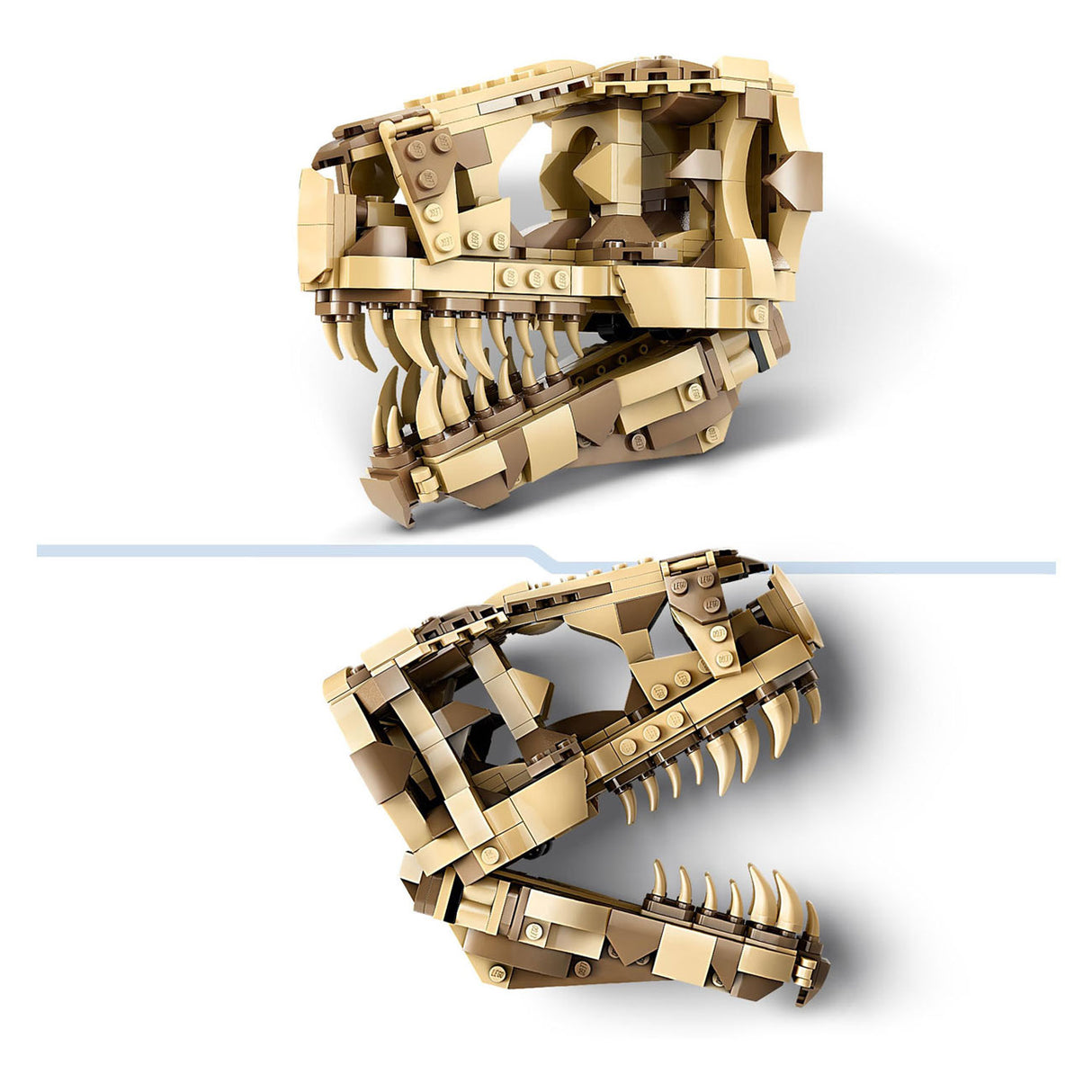 LEGO LEGO Jurassic World 76964 Fossili Dinosaurus: programma T-Rex