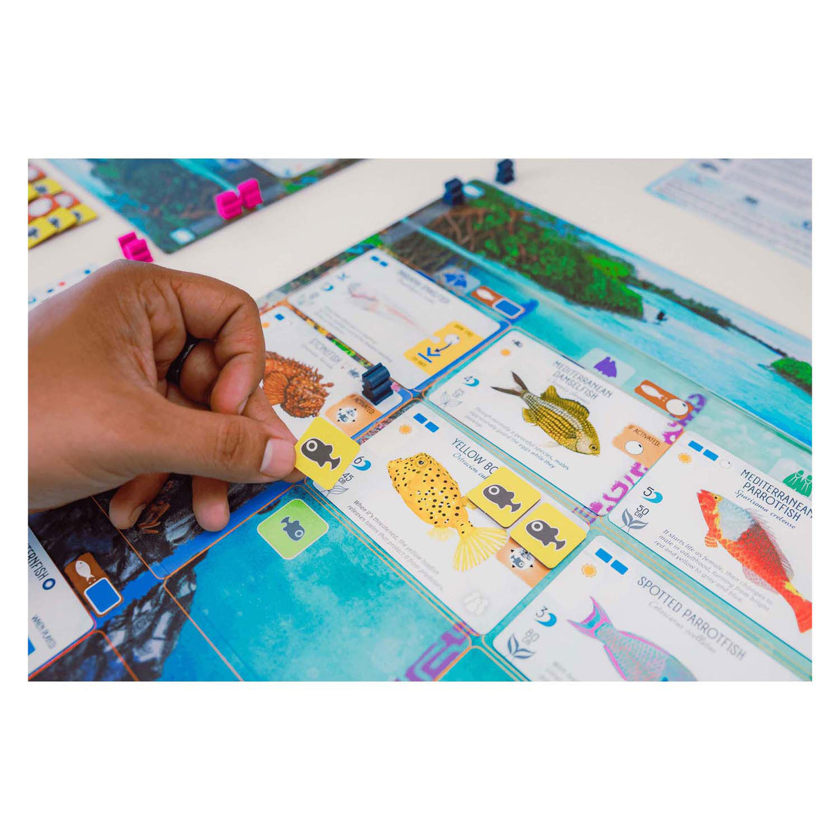 999her 999 her desková hra finspan