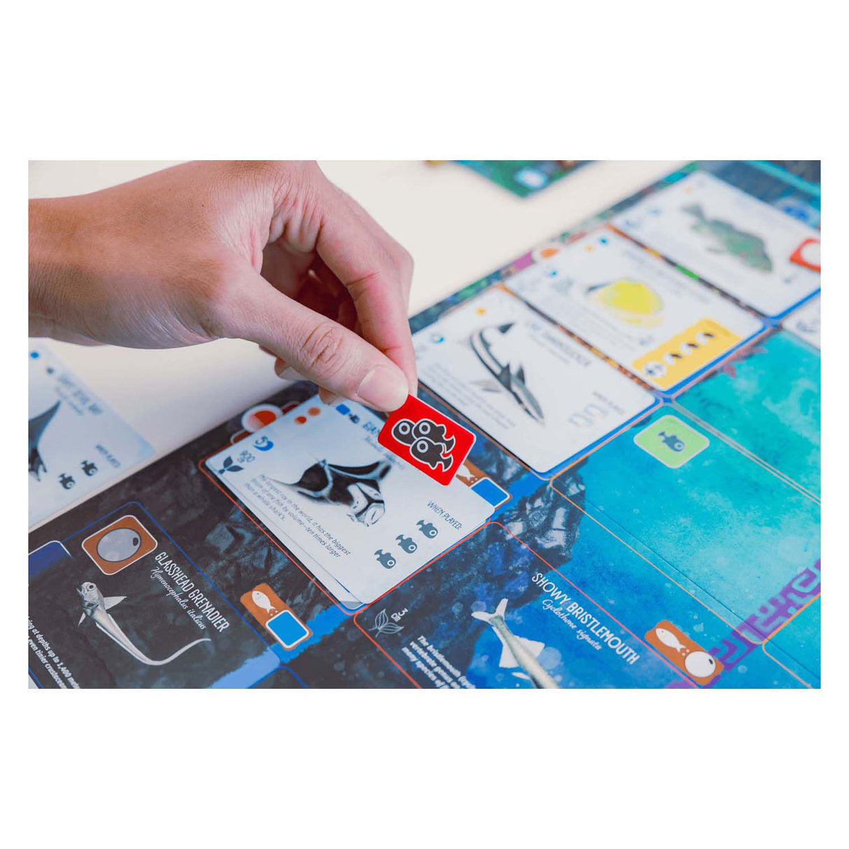 999her 999 her desková hra finspan