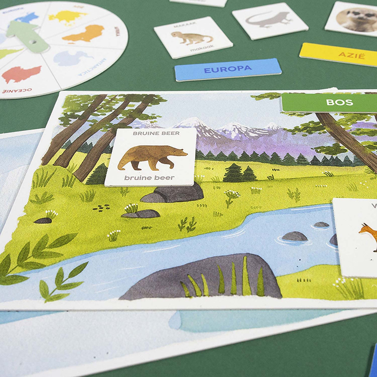 Jumbo I Learn to Discover Animals Educational Game