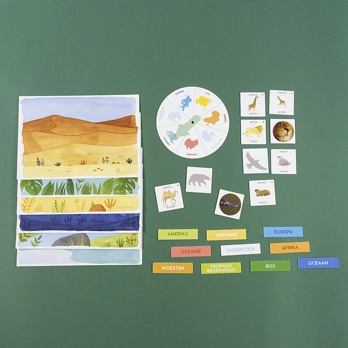 Jumbo I Learn to Discover Animals Educational Game