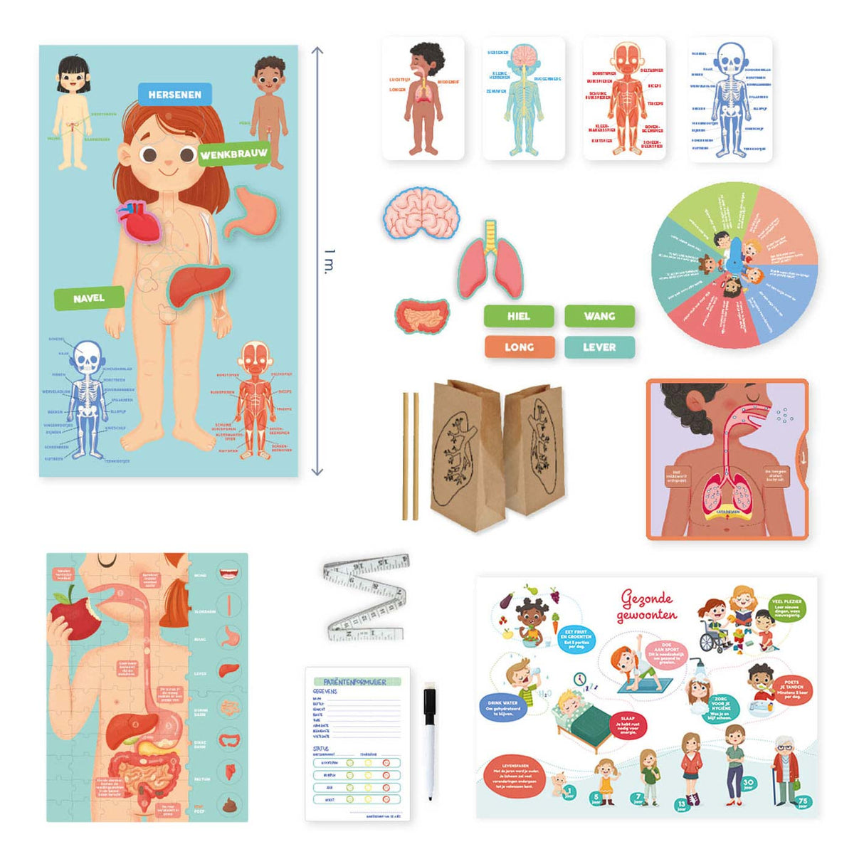 Jumbo jeg lærer å oppdage kroppen