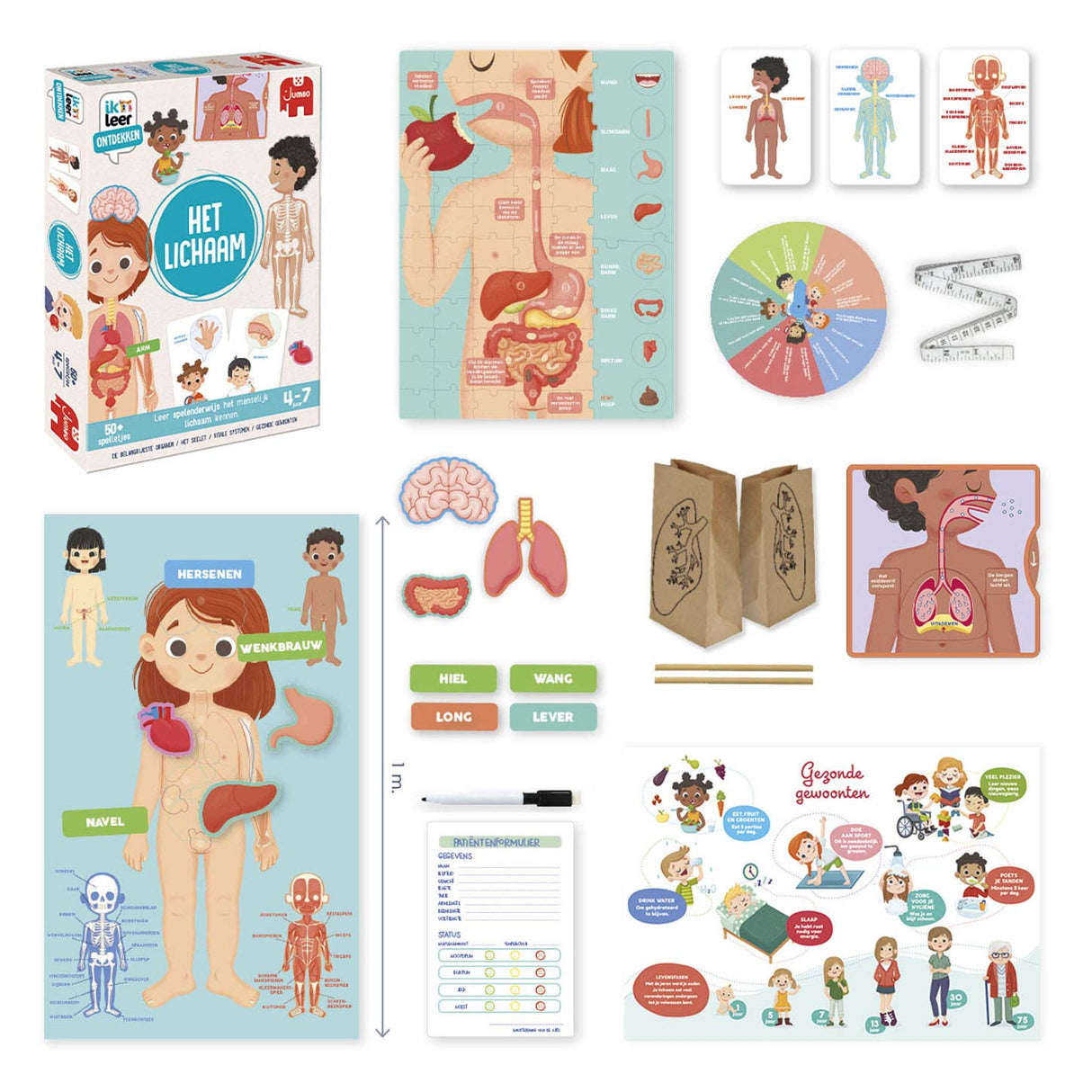 Jumbo jeg lærer å oppdage kroppen