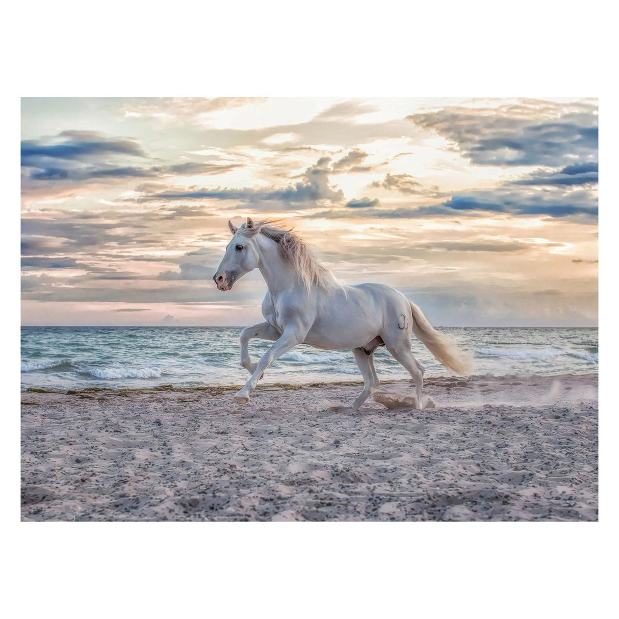 Ravensburger Horse on the Beach Jigsaw Puzzle 500pcs.