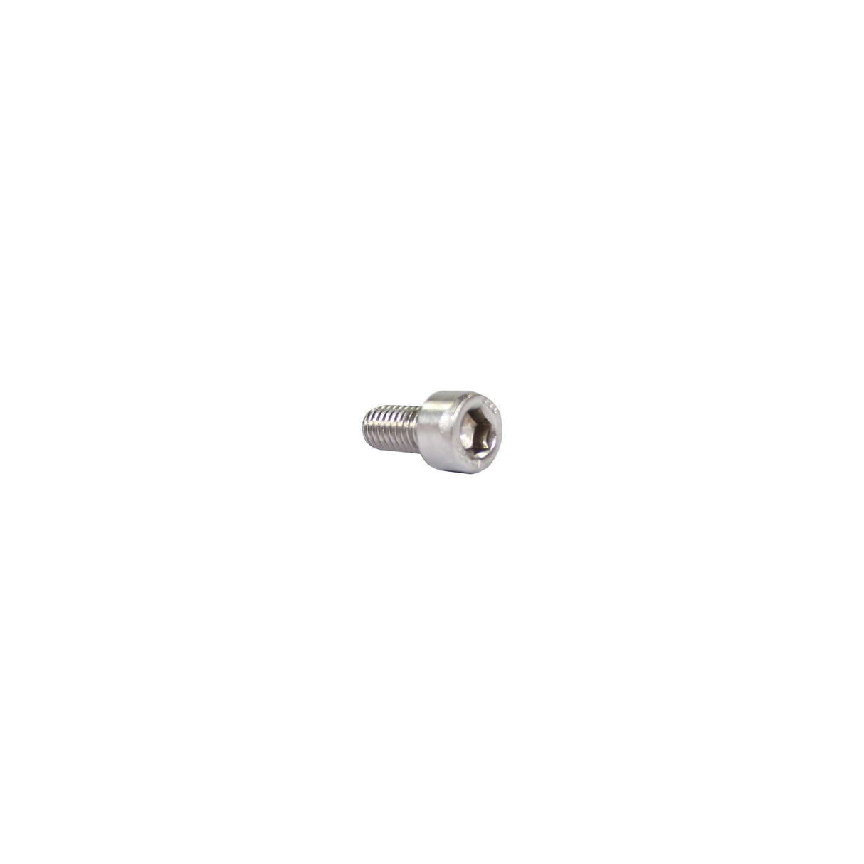 Allen bolt M6x12 stainless steel per 25