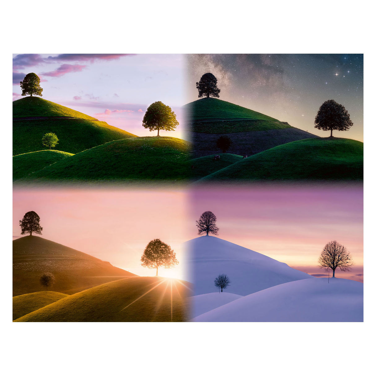 Ravensburger Jigsaw Puzzle Moody Bäume und Berge, 2000st.