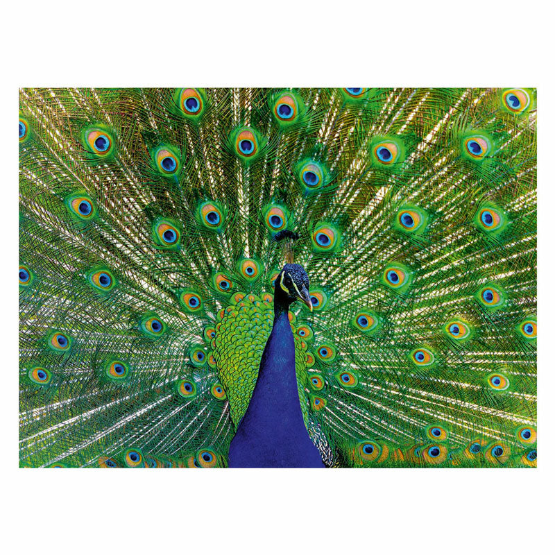 RAVENSBURGER JIGSAW Puzzle Animali colorati Pauw, 500st.
