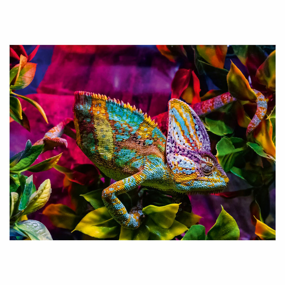 Ravensburger Jigsaw Puzzle Colorful Animals Chameleon, 500st.