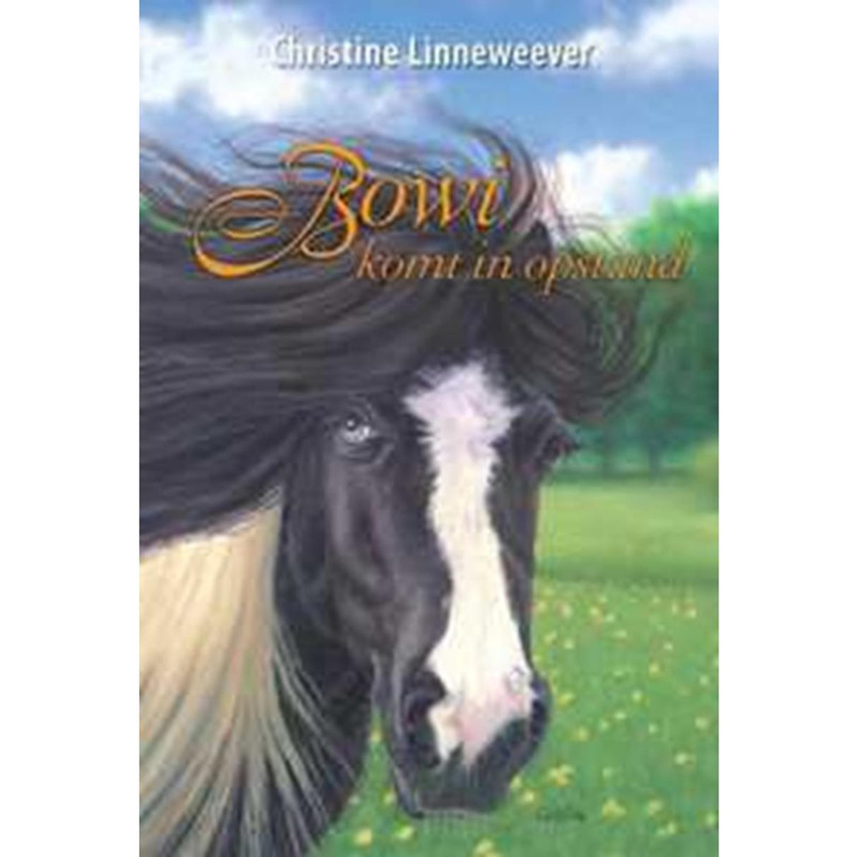 Kluitman Golden Horses Publisher: Bowi sta girando