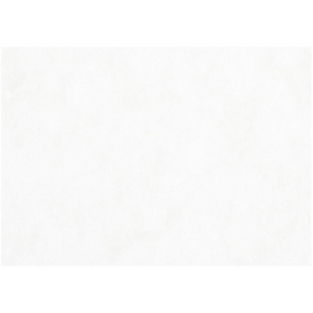 Watercolor paper, a3, sheet 297x420 mm, 200 gr, white, 100 sheets 1 box
