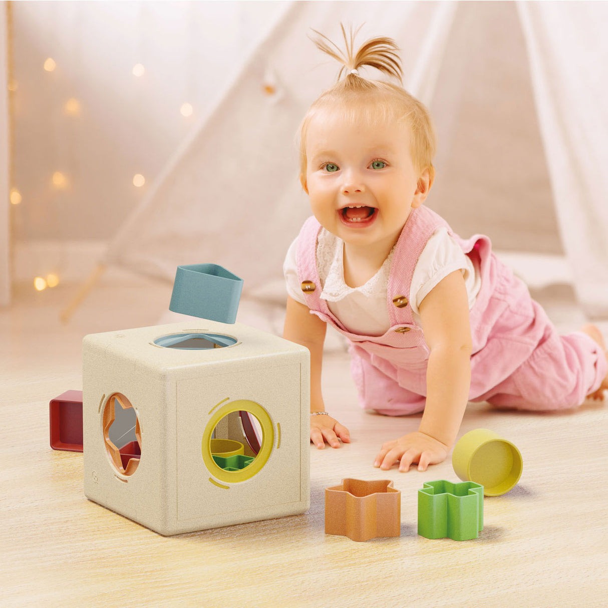 Bosca cruth Quercetti playbio