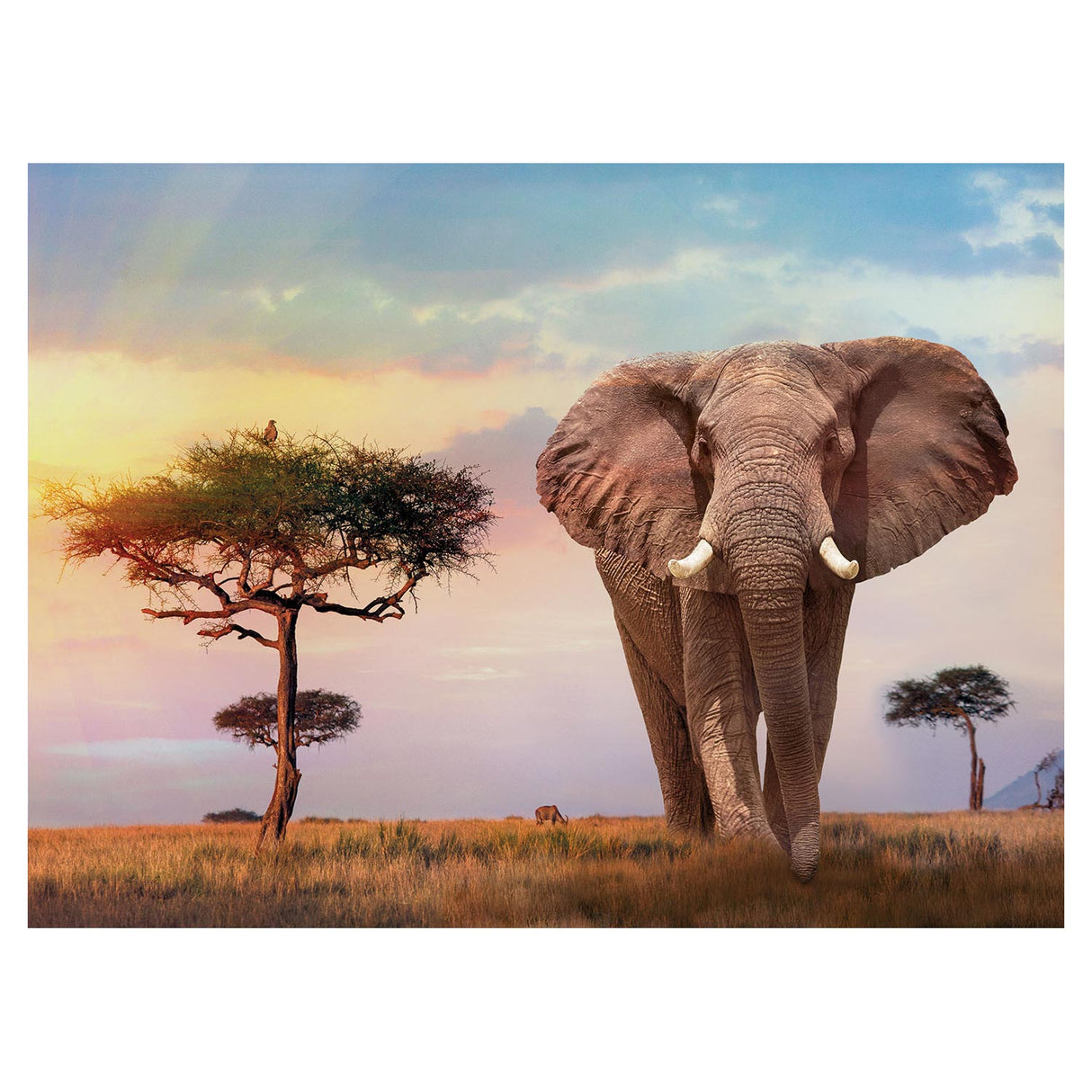 Clementoni Puzzle African sunrise, 500st.