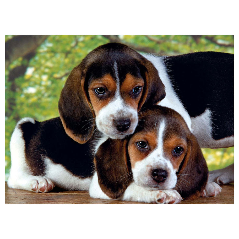 Clementoni puzzle dog friends, 500 pcs.