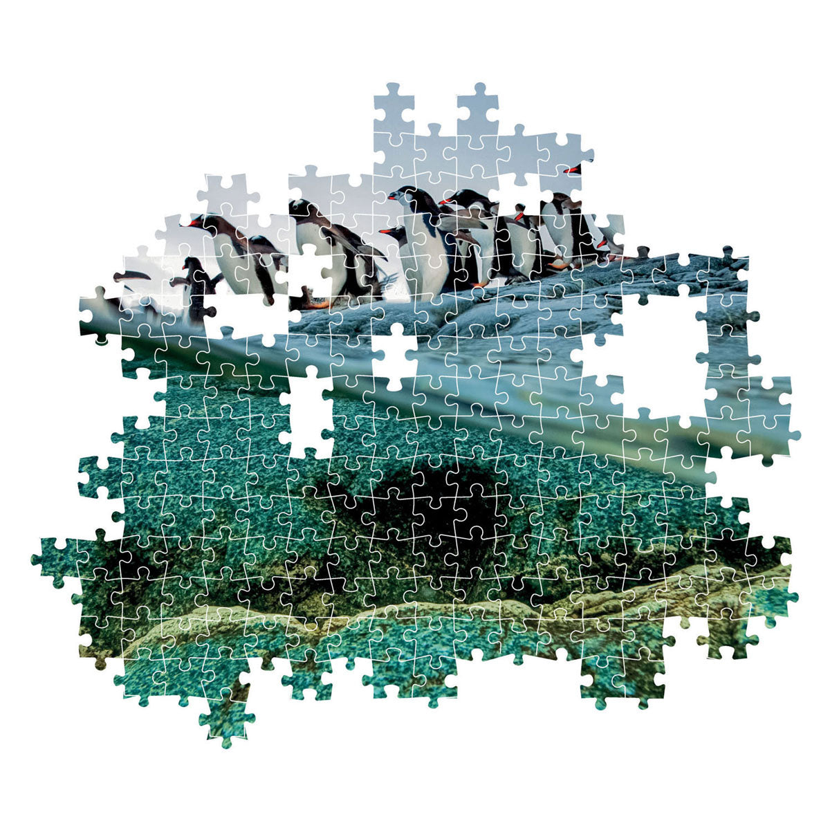 Clementoni Jigsaw Puzzle National Geograpy - Penguin, 1000бр.