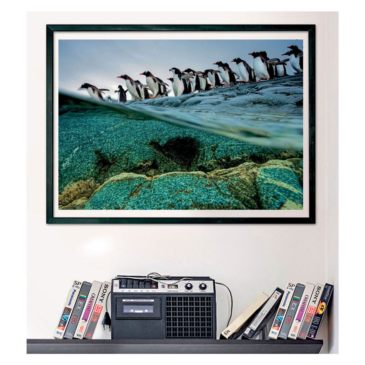 Clementoni Jigsaw Puzzle National Geograpy - Penguin, 1000бр.