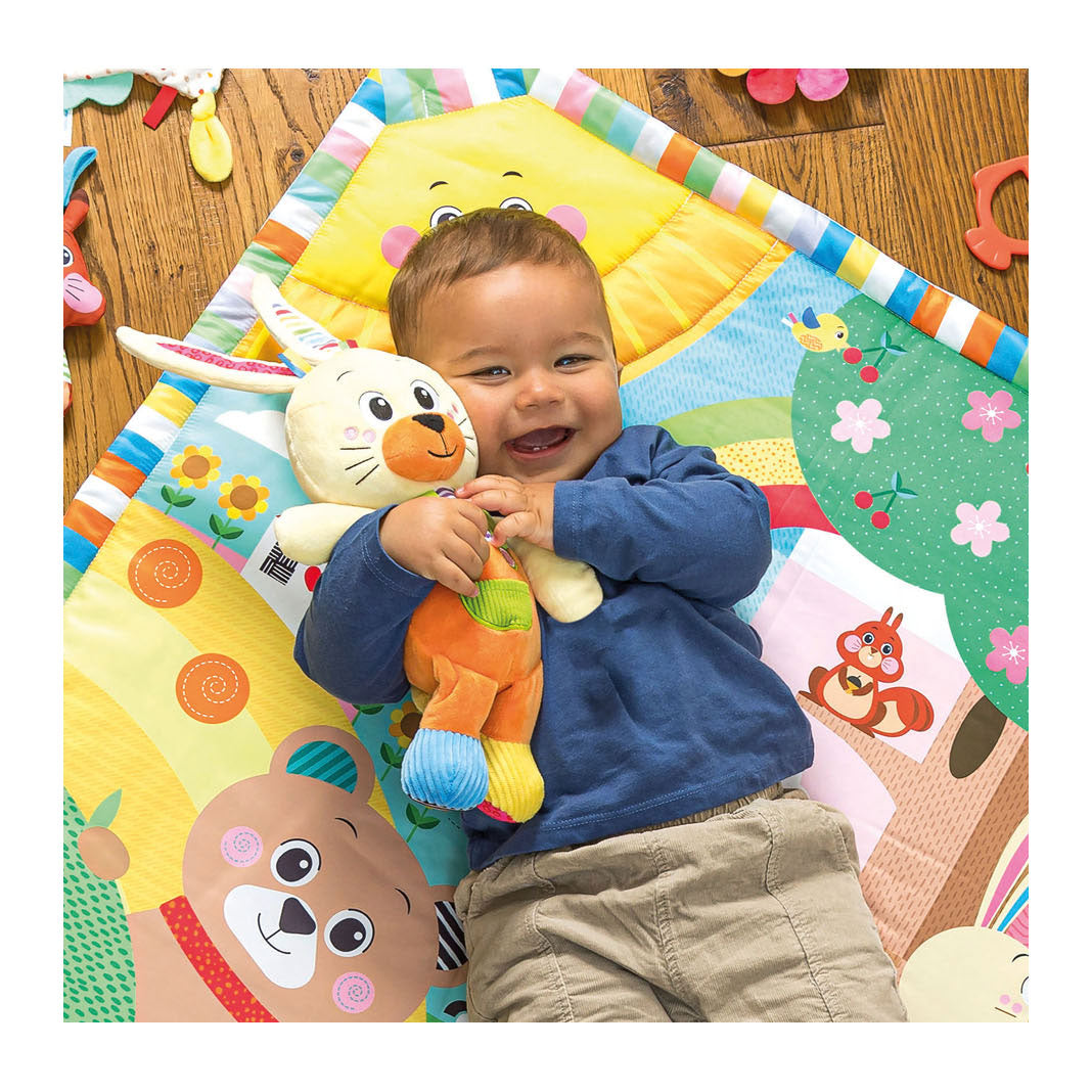 Clementoni baby my first animal cuddly toy - rabbit