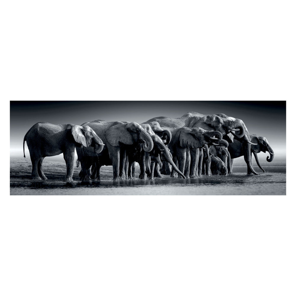 Clementoni Jigsaw Puzzle Panorama Herde oder Riesen, 1000st.