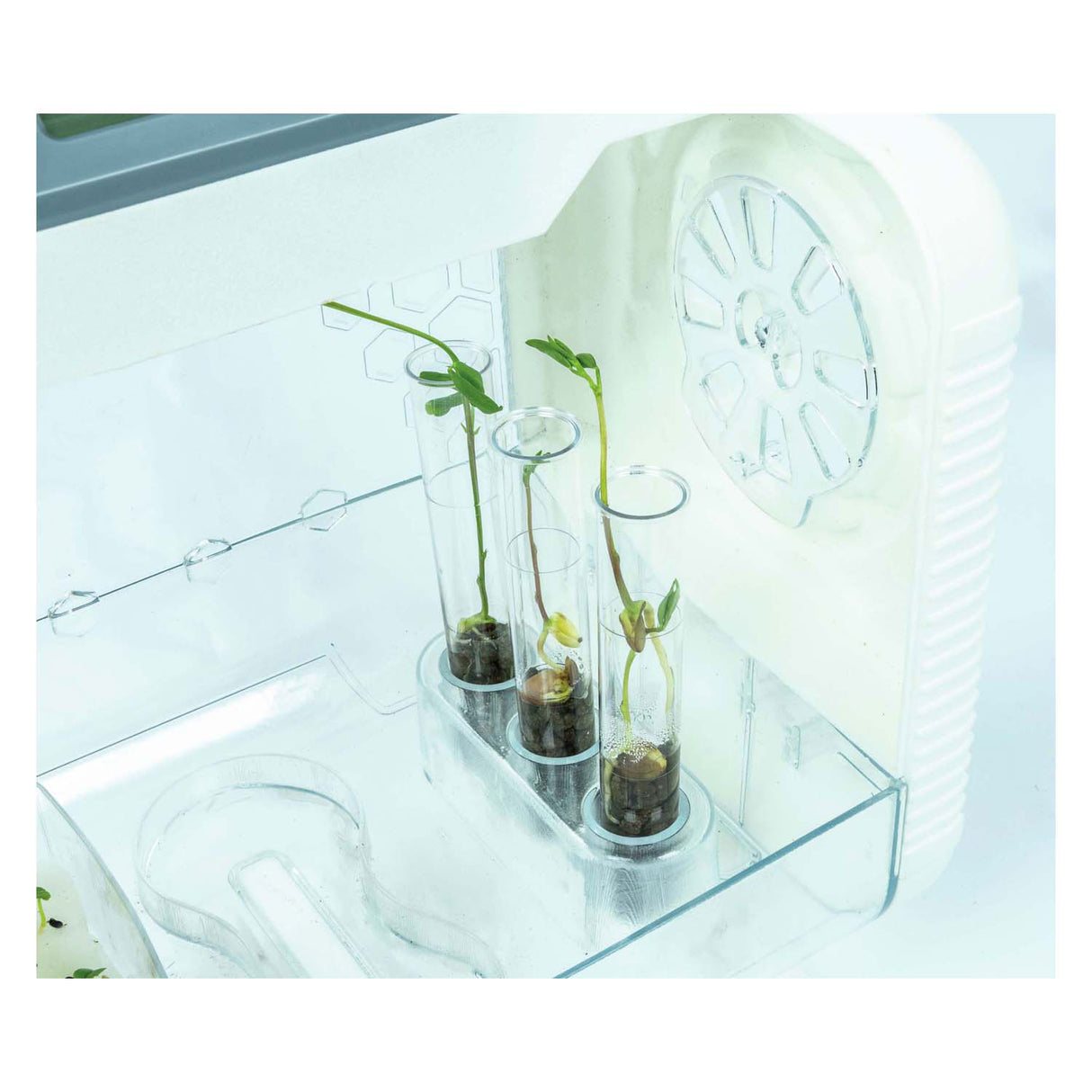 Clementoni Science and Game - My Hi -tech Kwekekkas Experimension set