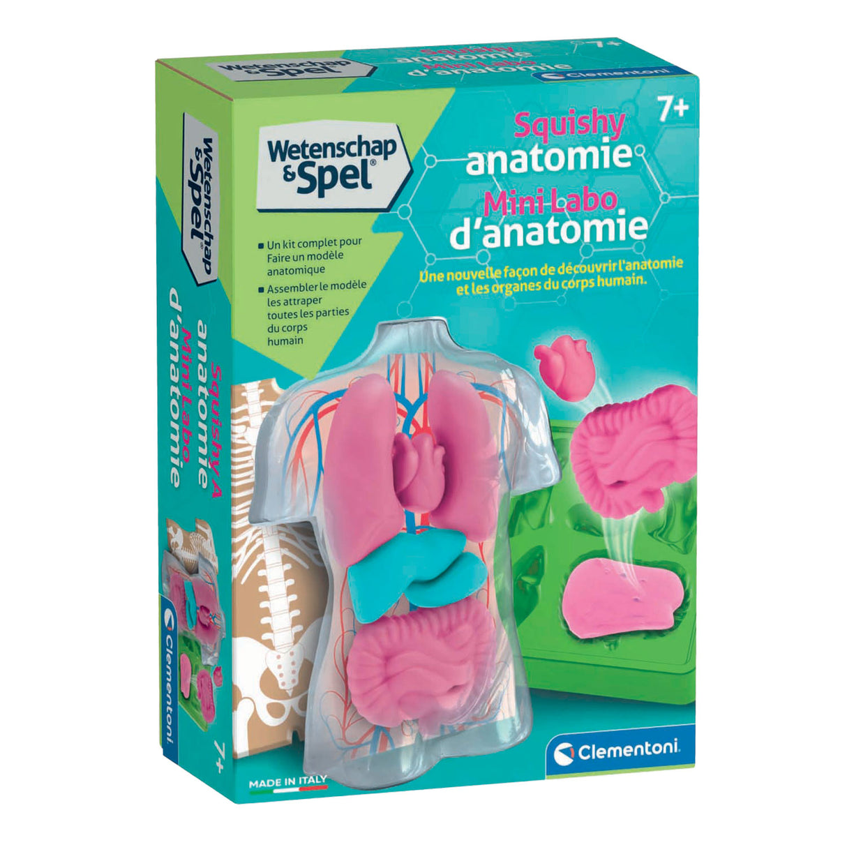 Clementoni science game - squishy anatomy