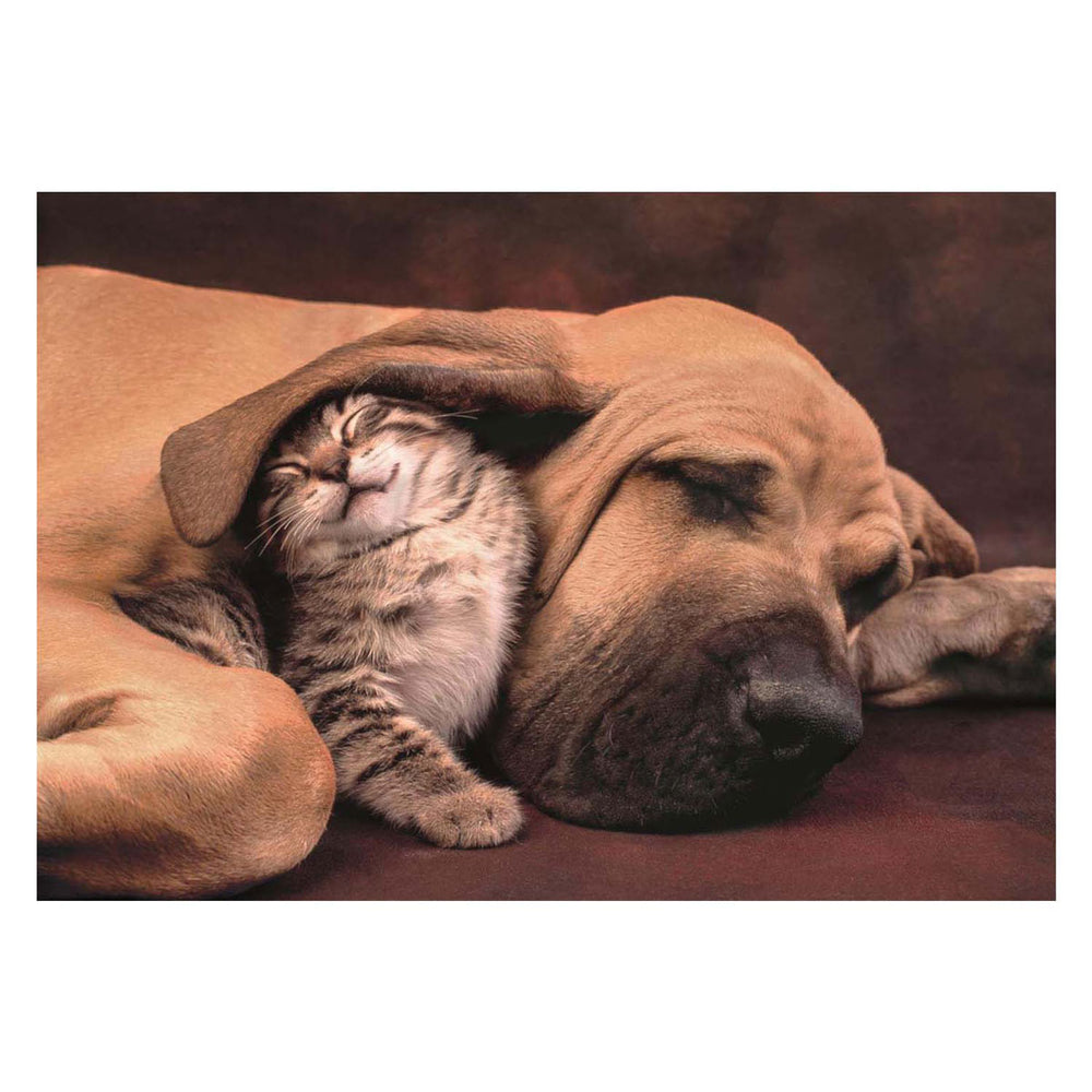 Clementoni jigsaw puzzle dog and cat, 500 pcs.