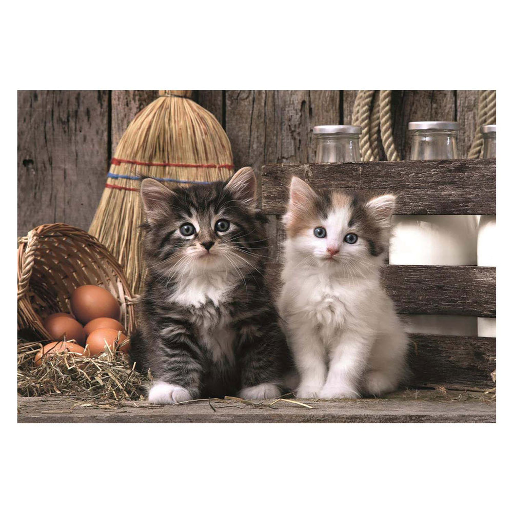 Clementoni puzzle - cute kittens, 1000 pcs.