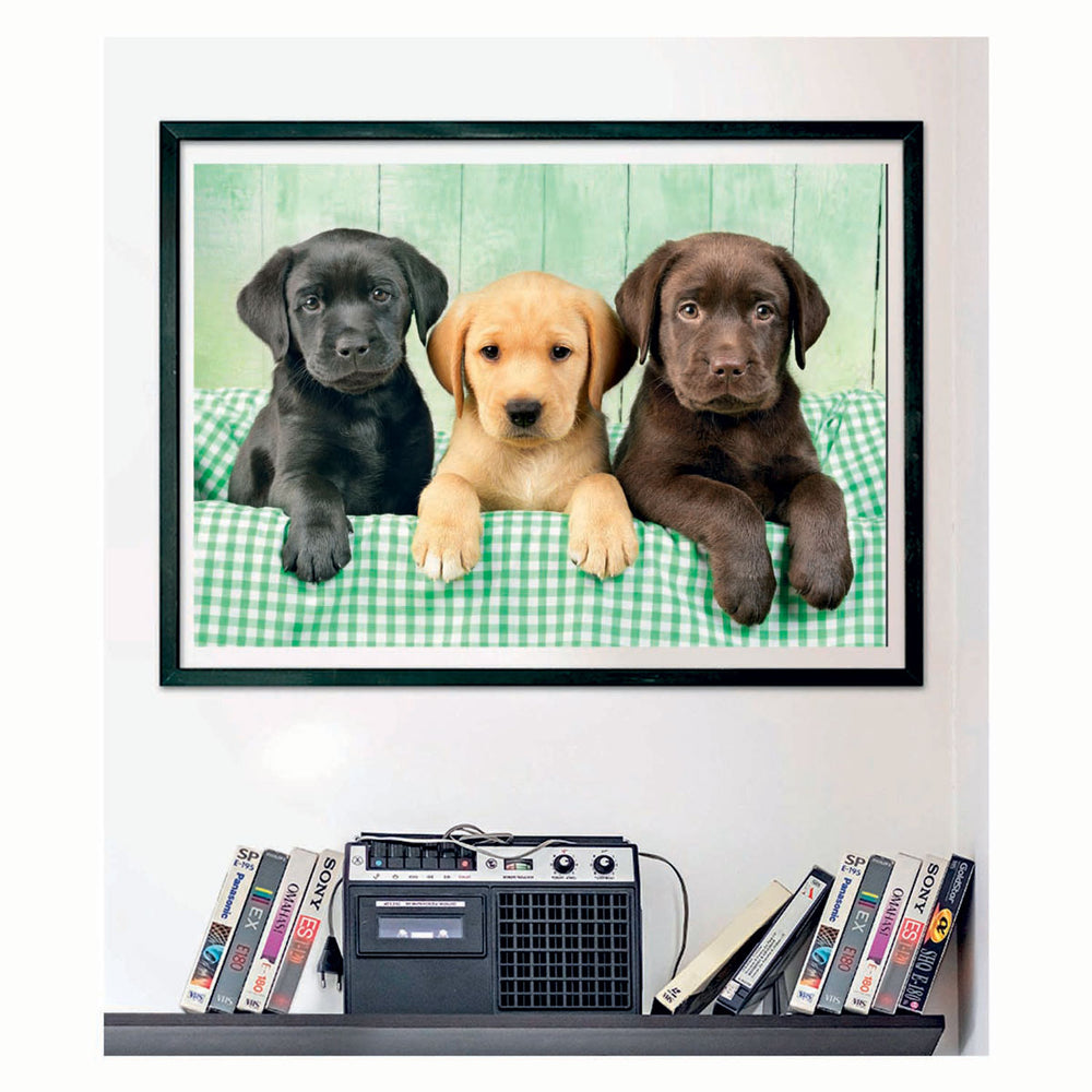 Clementoni puzzle 1000 pieces labrador pubs 3 colors compact