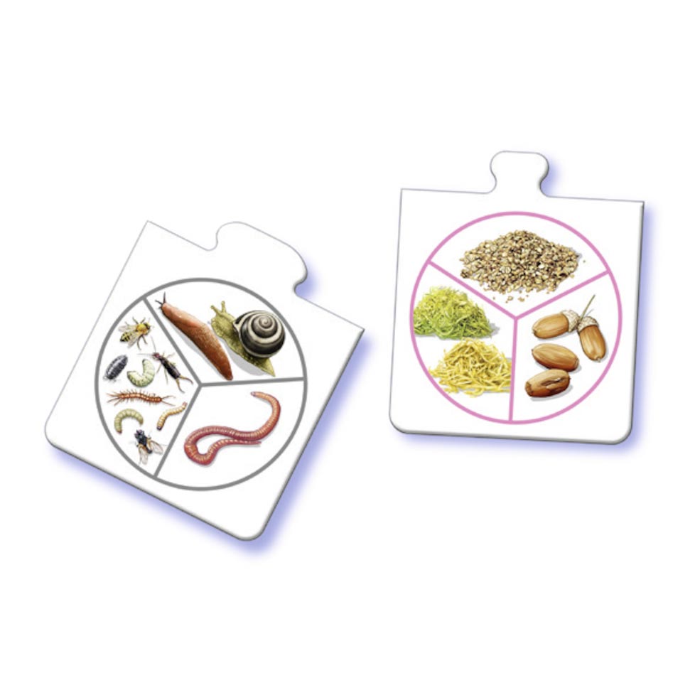 Ravensburger Tiptoi All My Animals