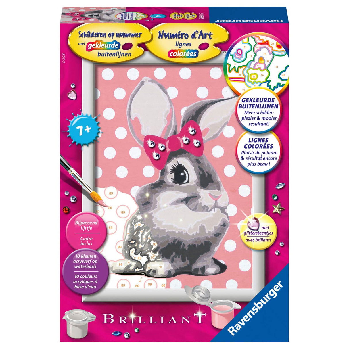 Ravensburger dipinto di Number Rabbit