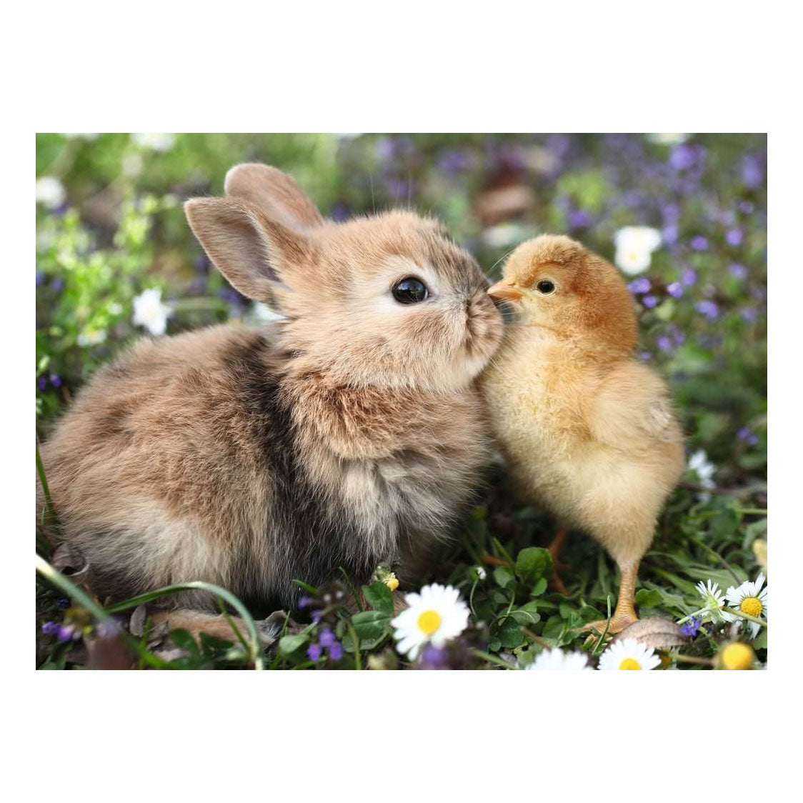 Ravensburger jigsaw puzzle rabbit chick 500 pieces
