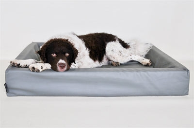 Bia cama hondmand gris original