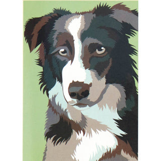 Nassau maali numeron mukaan koira | 3 kpl