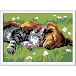 Ravensburger Creart Painting a numero - Catti e cani addormentati