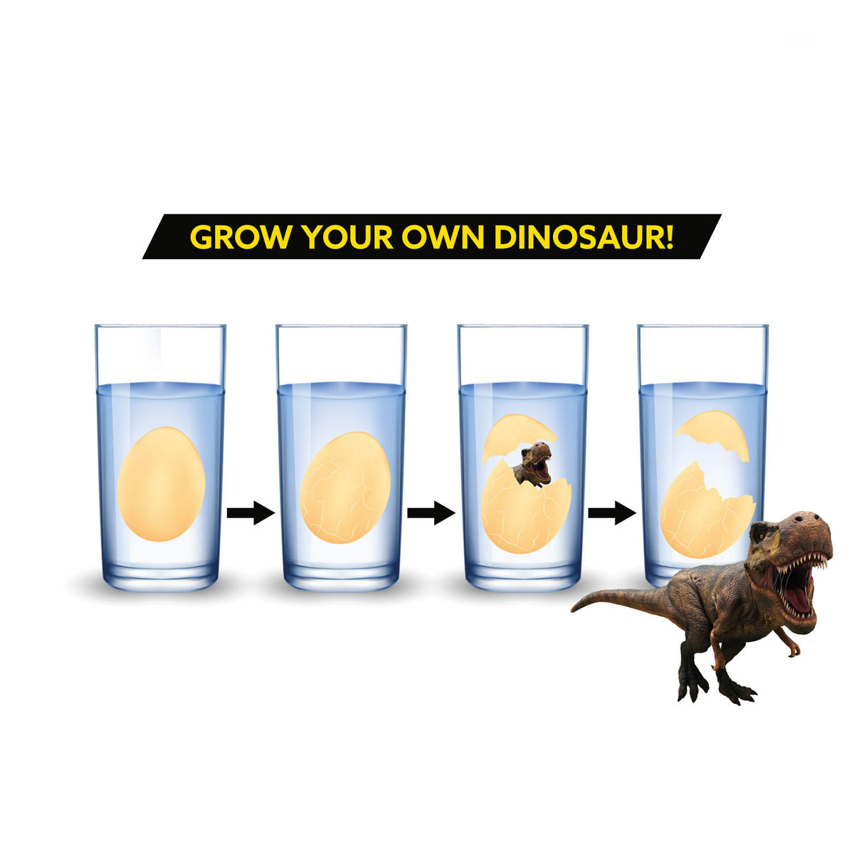 TOI TOYS Growth-hegg Dinosaurus