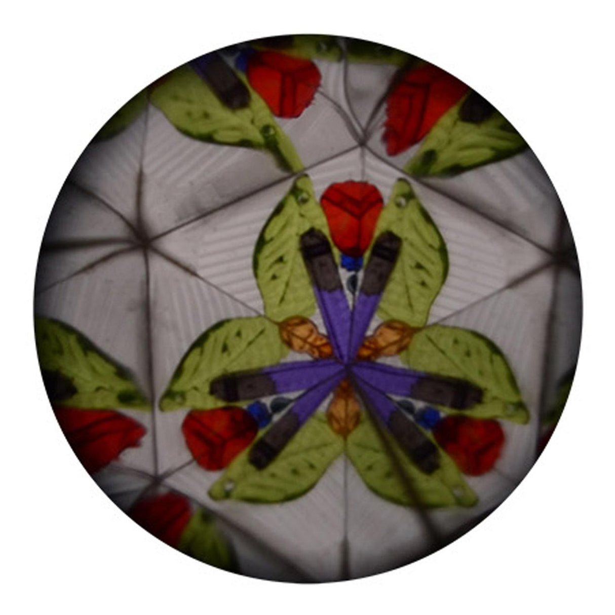 JOHNTOY KALEIDOSCOPE MARINE Animals