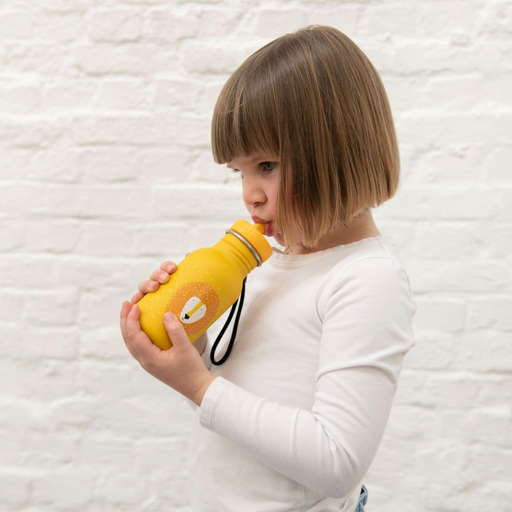 Trixie Drinking Bottle Mr. Lion, 350ml